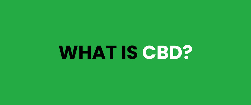 What is CBD Oil and Hemp Oil